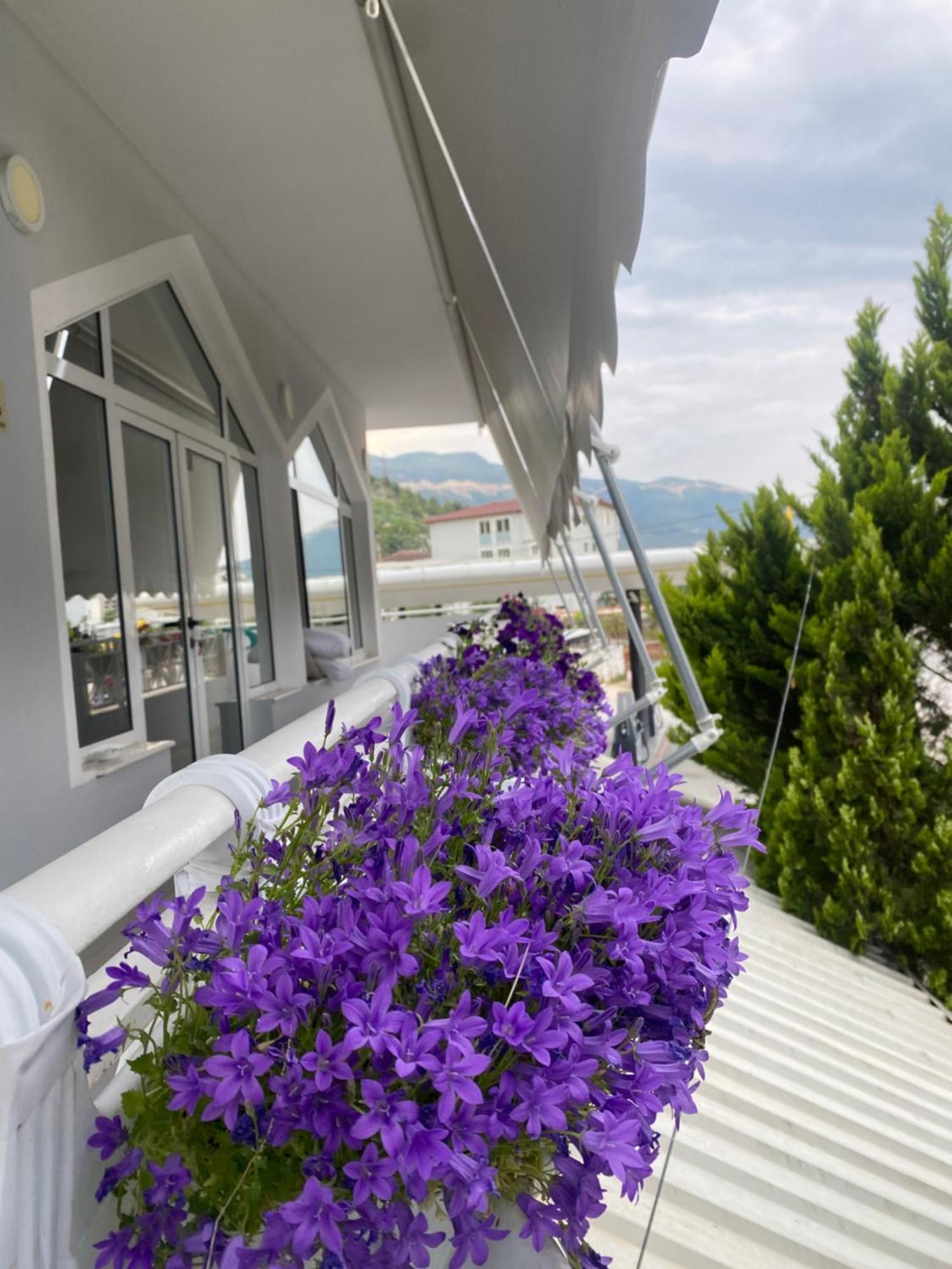 Hc Hotel & Suites Vlore Exterior photo